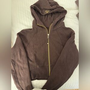 Espresso Brown lululemon Hoodie with Gold Zipper